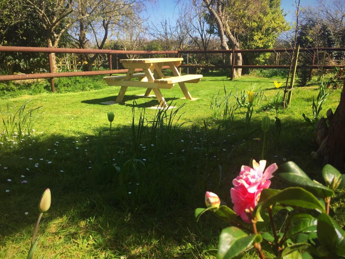 Herons Pool Bed & Breakfast Coverack Bagian luar foto